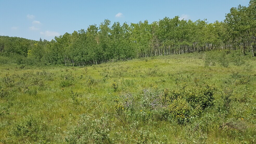 More Photos Of 1 Bow River, Rocky View No 44 Land For Sale