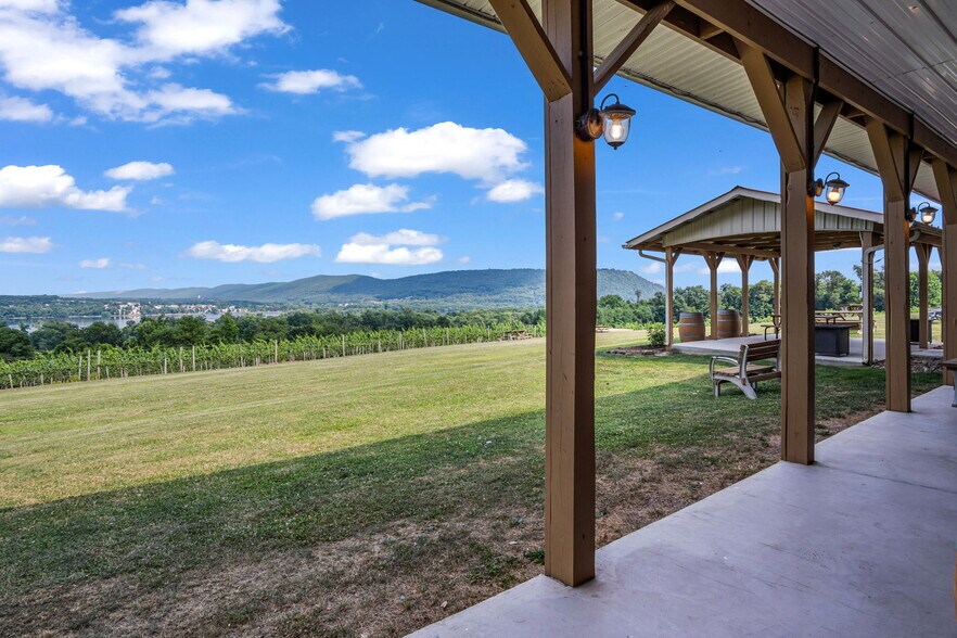 More Photos Of 3 Orchard Rd, Liverpool Winery Vineyard For Sale