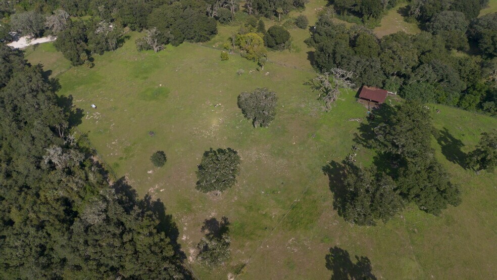 More Photos Of 12750 Morris Bridge Rd, Thonotosassa Land For Sale