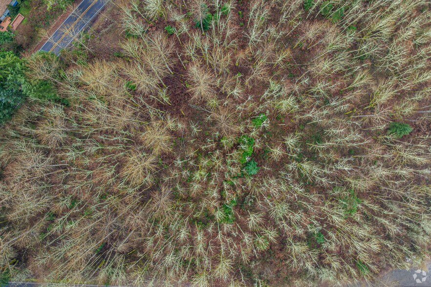 More Photos Of 12221 Shaw Rd, Puyallup Land For Sale