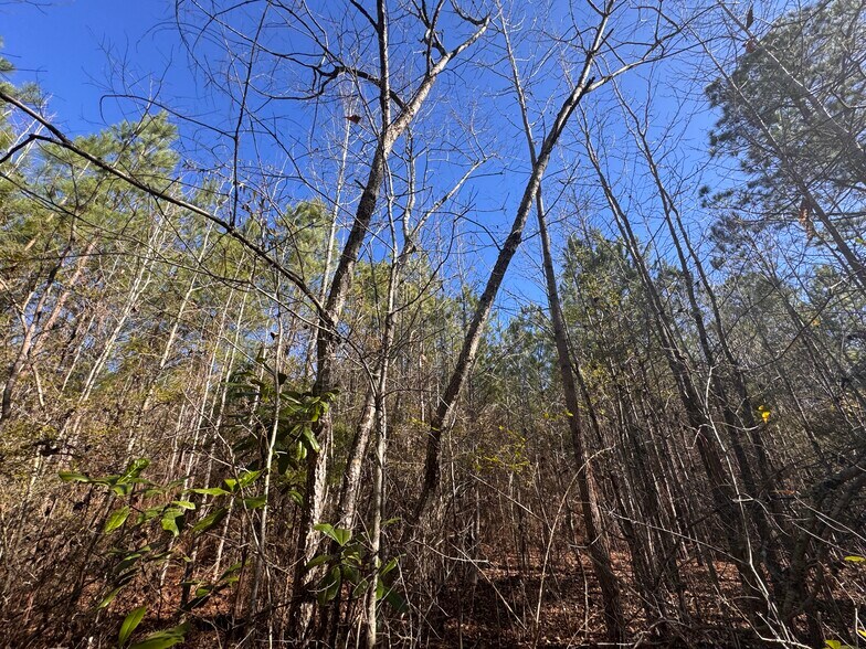 More Photos Of U.S. 31, Verbena Land For Sale