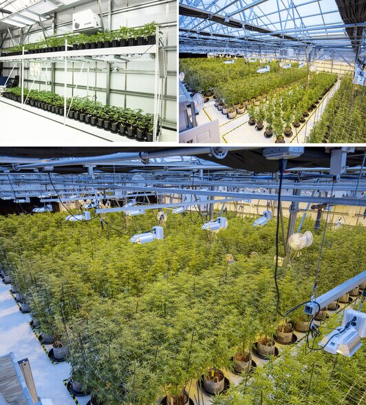 More Photos Of 1117 Main St, Chesaning Light Manufacturing For Sale