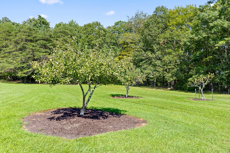 More Photos Of 3872 Brayton Mountain Rd, Graysville Skilled Nursing Facility For Sale