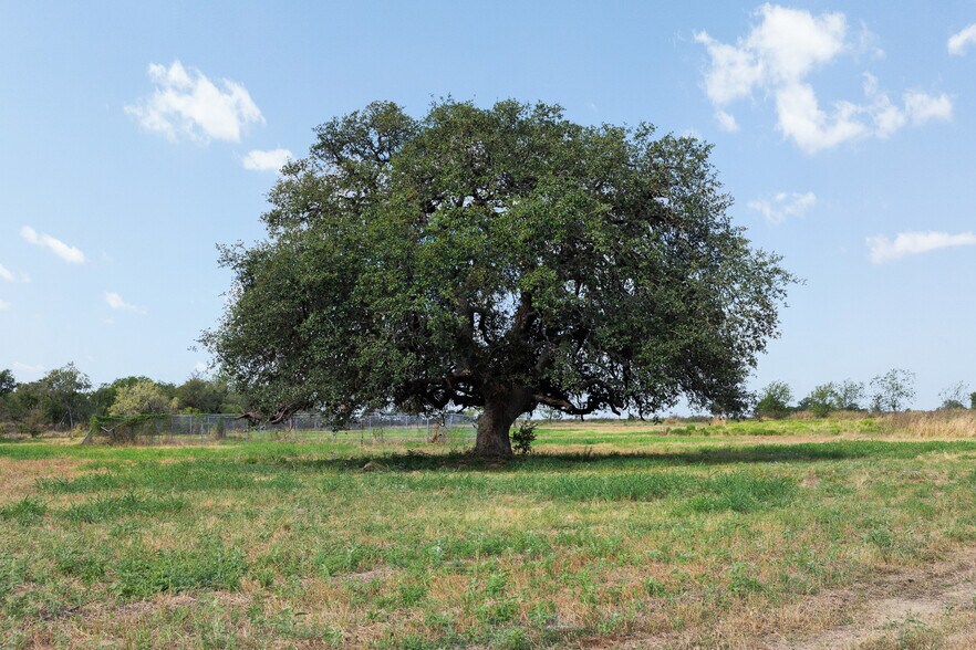 More Photos Of 1845 Silent Valley Rd, Lockhart Land For Sale