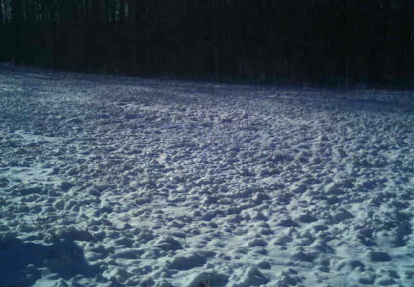 More Photos Of 92 Lillian Strong rd, Carlton Land For Sale