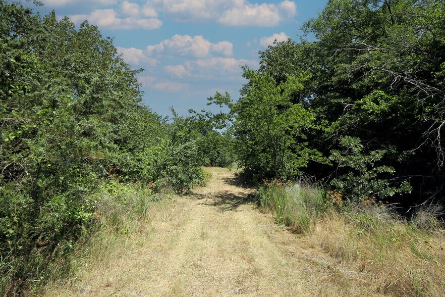 More Photos Of 13305 Joe Allen Rd, Pilot Point Land For Sale