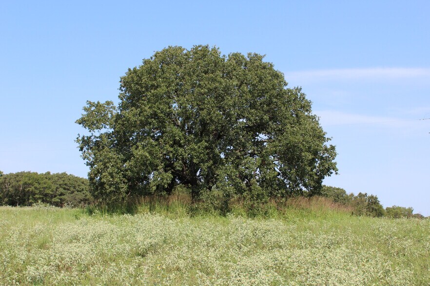 More Photos Of Blackjack Parkway, Montague Land For Sale