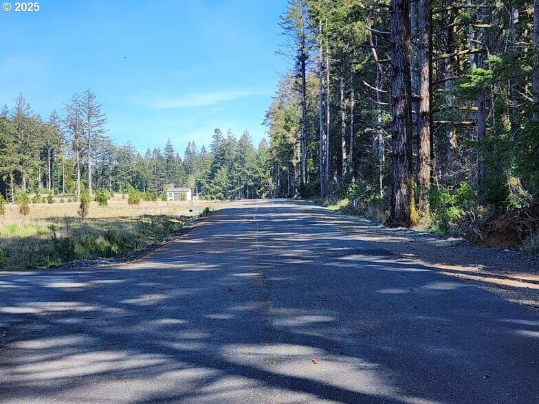 More Photos Of Hubbard Ln @ Cemetery Loop Rd, Port Orford Land For Sale