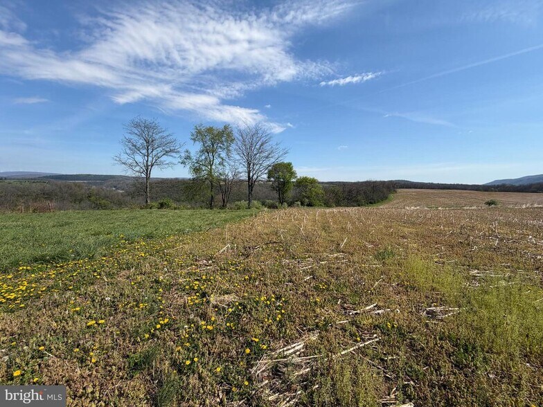 More Photos Of 3581 Union Furnace Rd, Tyrone Land For Sale