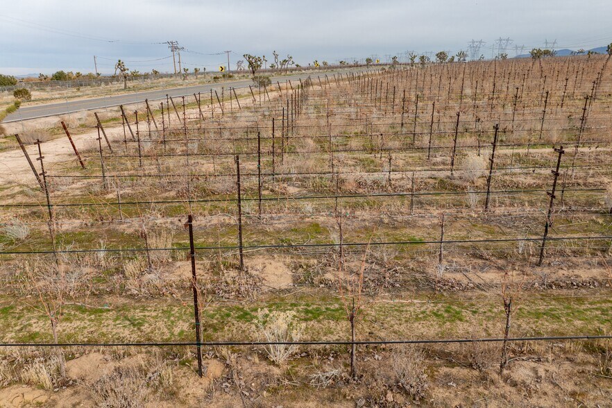 More Photos Of Fort Tejon Rd, Littlerock Land For Sale