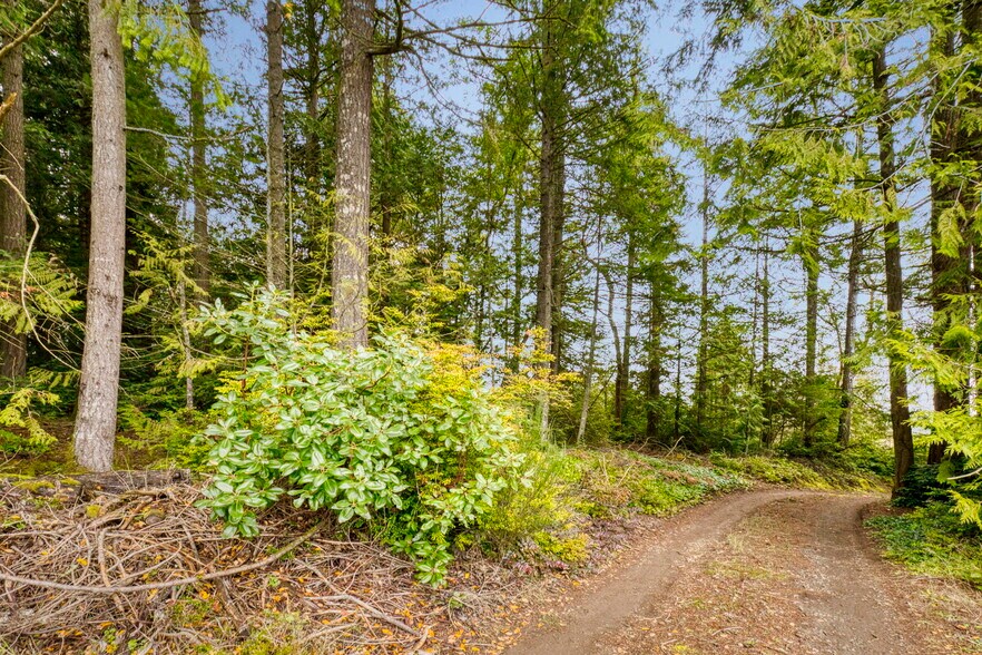 More Photos Of 00 Dickey Rd, Silverdale Land For Sale
