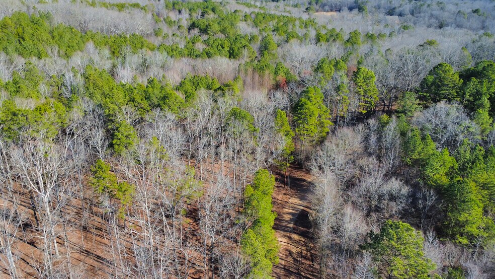 More Photos Of 277 Bethel Church Rd SE, Silver Creek Land For Sale