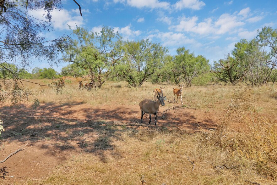 More Photos Of 10000 FM 209, Graham Land For Sale
