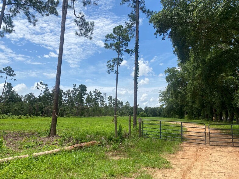 More Photos Of County Rd 24, Foley Land For Sale