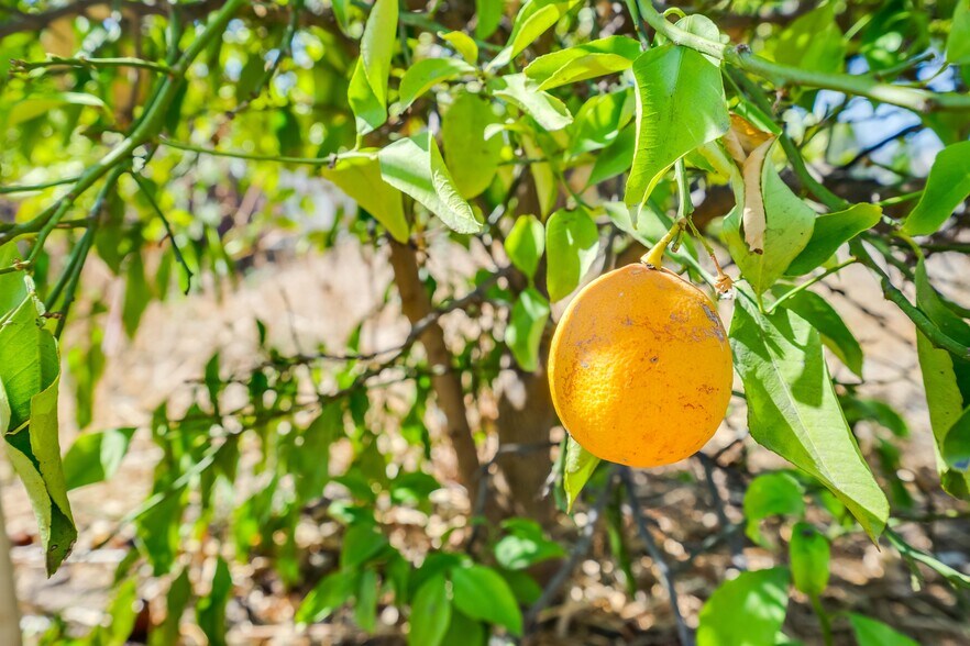 More Photos Of 3333 Raymond Ave, Altadena Land For Sale