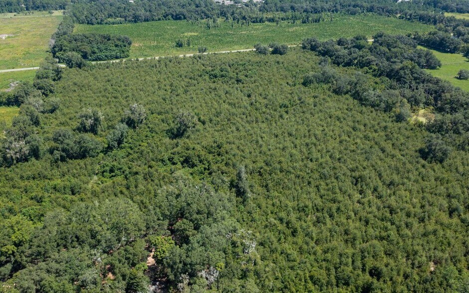 More Photos Of Crossen Avenue & Ichetucknee Rd, Live Oak Land For Sale