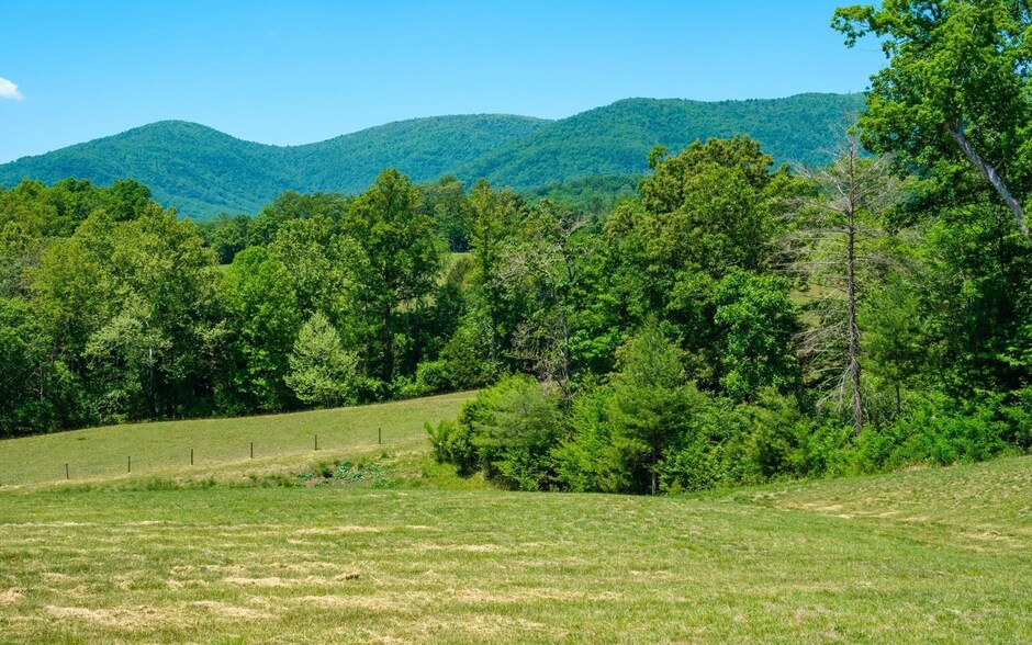 More Photos Of 0 Boonesville Rd, Dyke Land For Sale
