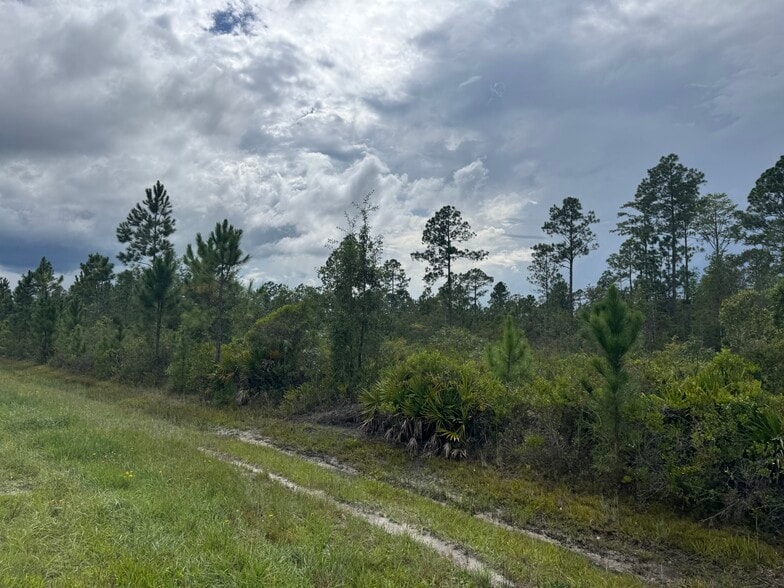 More Photos Of Noah Raulerson Road, Sanderson Land For Sale