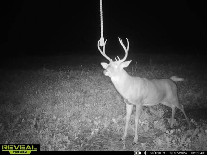 More Photos Of Fisher Road, Iola Land For Sale