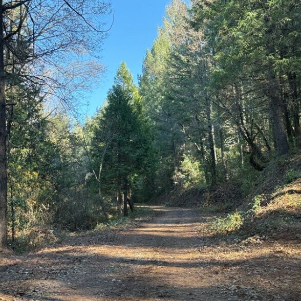 More Photos Of Vacant Land Spring Garden Road, Foresthill Land For Sale