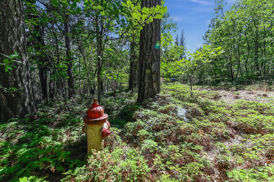 More Photos Of 3022 Highway 4, Arnold Multifamily For Sale