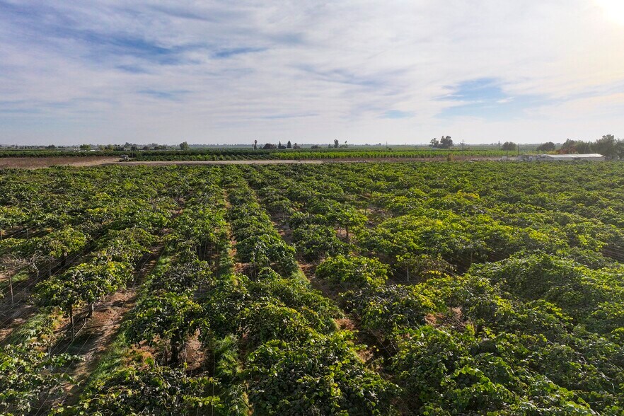 More Photos Of 39496 Road 136, Cutler Land For Sale