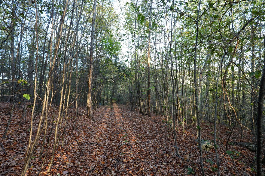 More Photos Of TBD NY-28, Phoenicia Land For Sale