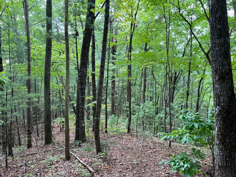 More Photos Of Whitecliff Drive, Ellijay Land For Sale