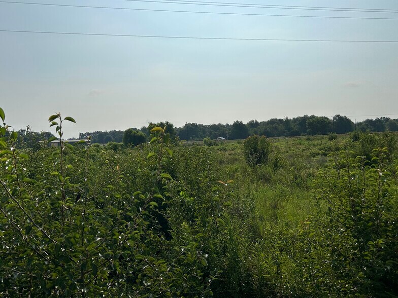 More Photos Of South US Hwy 79/84, Palestine Land For Sale