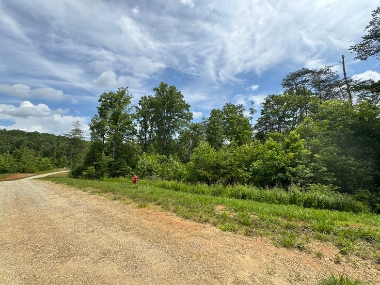 More Photos Of Hwy 515, Morganton Land For Sale