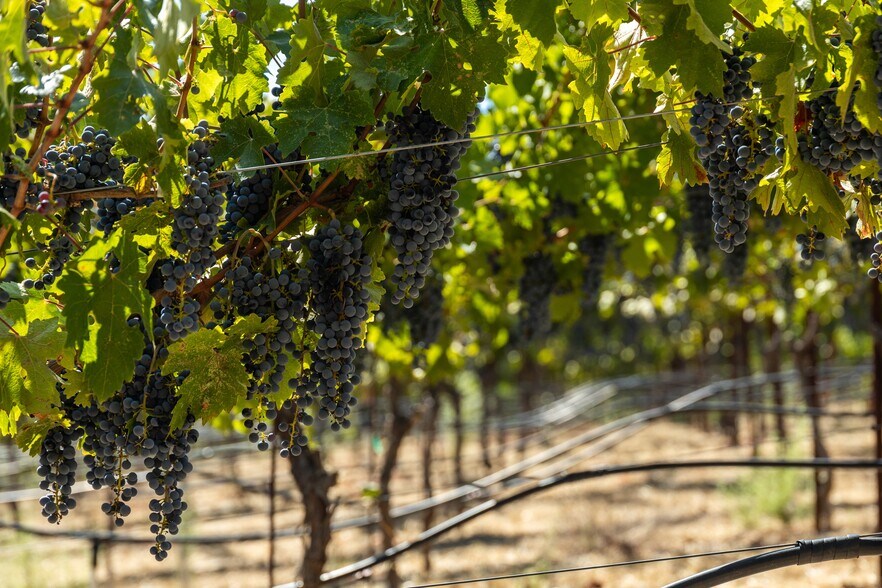 More Photos Of 13700 Rockpile Rd, Geyserville Land For Sale