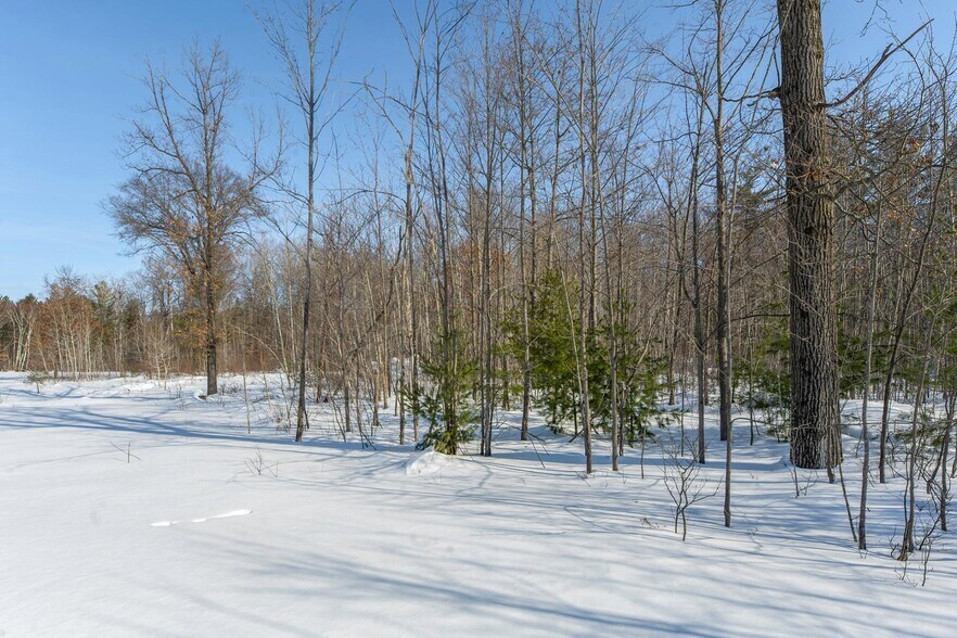 More Photos Of Brown Rd., Three Lakes Land For Sale