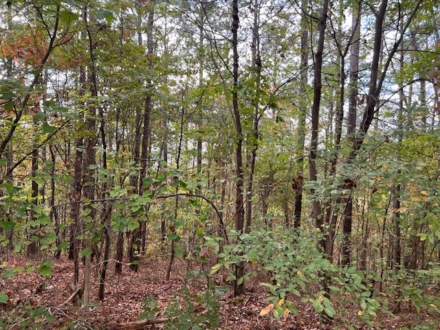 More Photos Of 100 Valley View Farm Rd SW, Cartersville Land For Sale