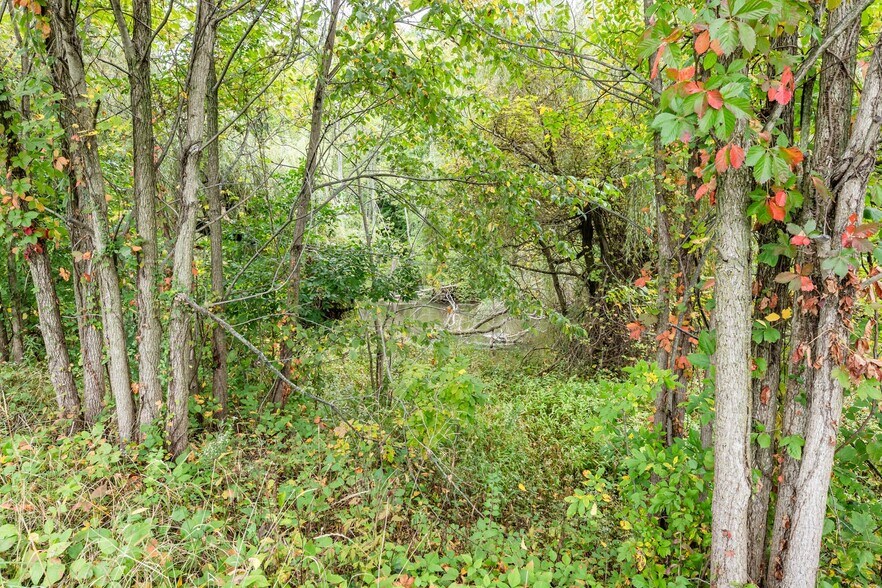 More Photos Of 0 Main Street St, Watervliet Land For Sale