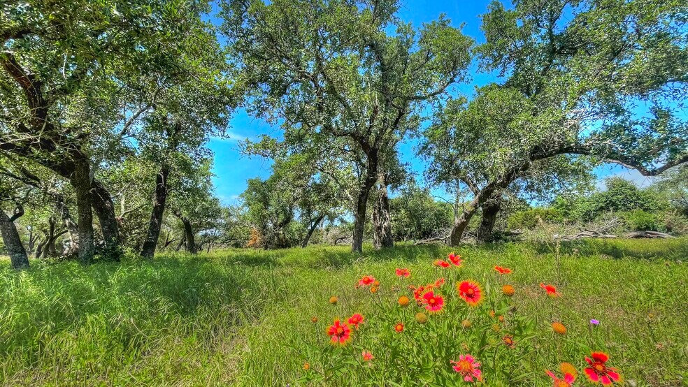 Primary Photo Of County Road 253, Bertram Land For Sale