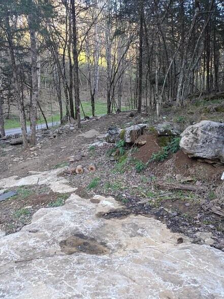 More Photos Of 940 Riley Creek Rd, Whitleyville Land For Sale