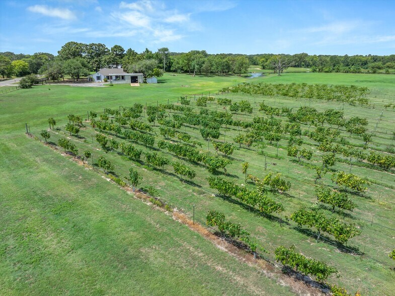 More Photos Of 5518 State Highway 198, Canton Winery Vineyard For Sale