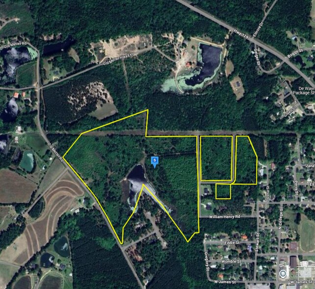 Primary Photo Of 2927 Old Claxton- Metter Hwy, Claxton Land For Sale