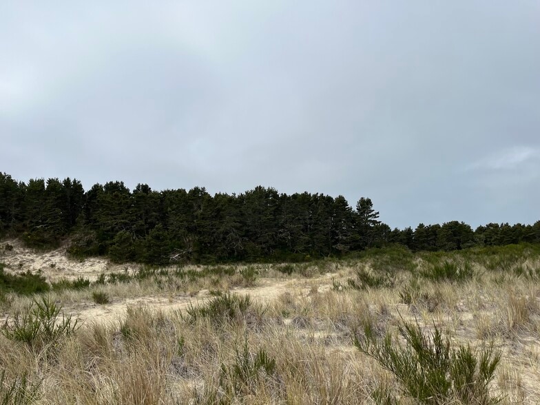 More Photos Of Pacific View Dr, Florence Land For Sale