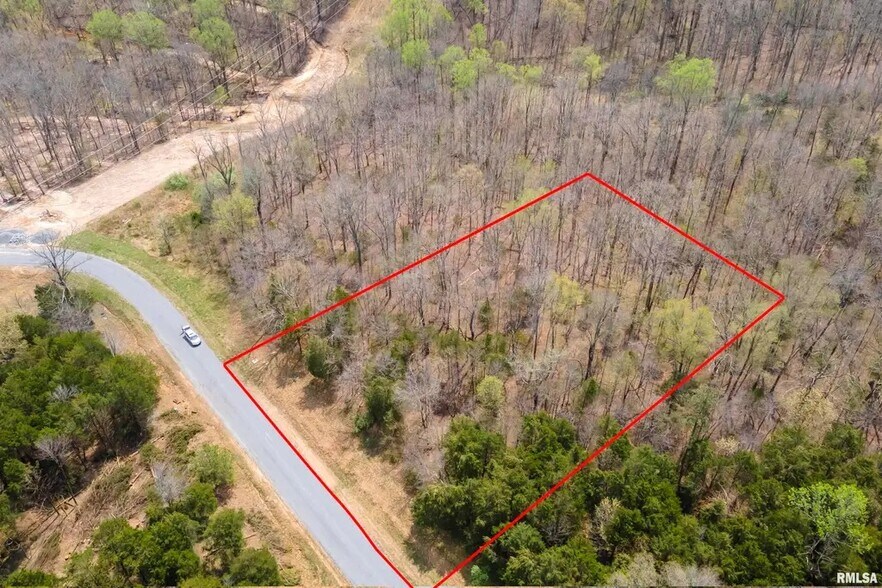 Primary Photo Of TBD Clifty Ln, Goreville Land For Sale