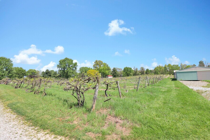 More Photos Of 1900 Winchester Southern Rd, Canal Winchester Winery Vineyard For Sale