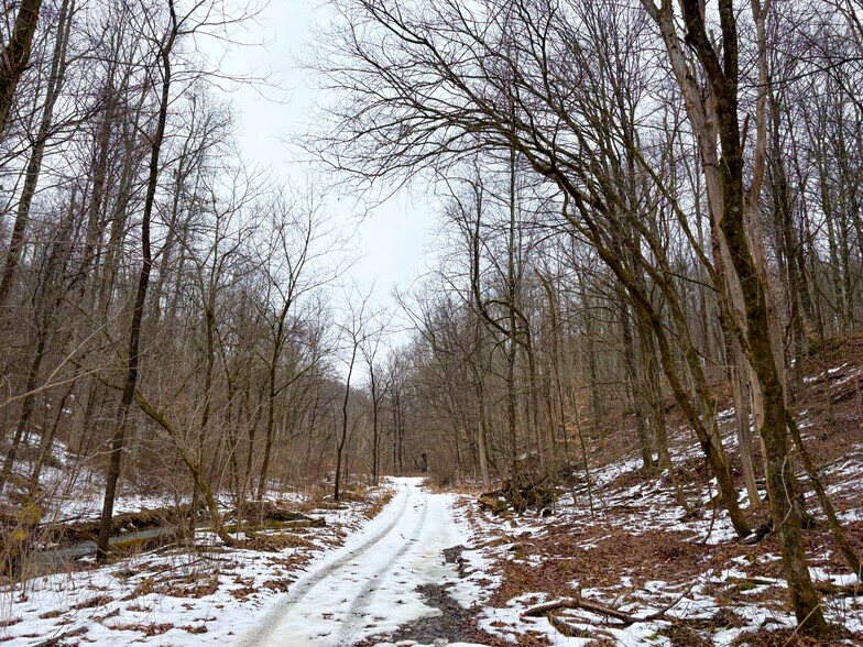 More Photos Of ,  Land For Sale