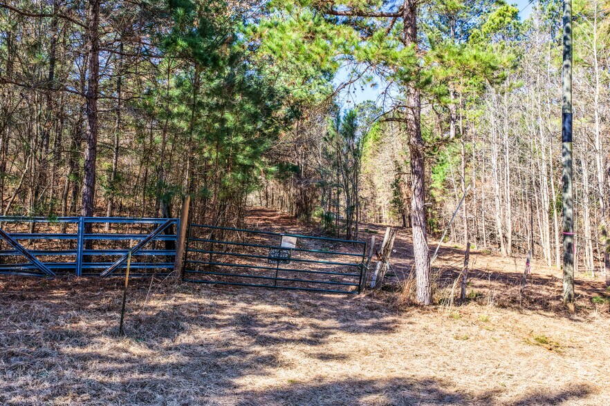 More Photos Of 1609 County Road 246 S rd, Tyler Land For Sale