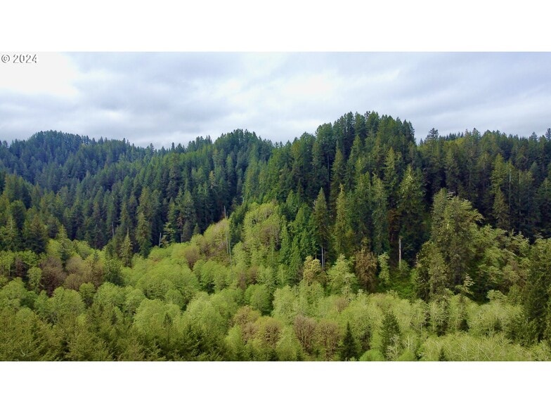 Primary Photo Of 18-10-00-00-01300500, Mapleton Land For Sale