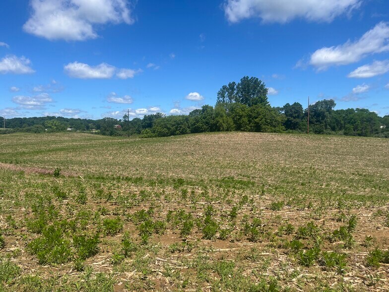 More Photos Of Fahrner Rd, Chelsea Land For Sale