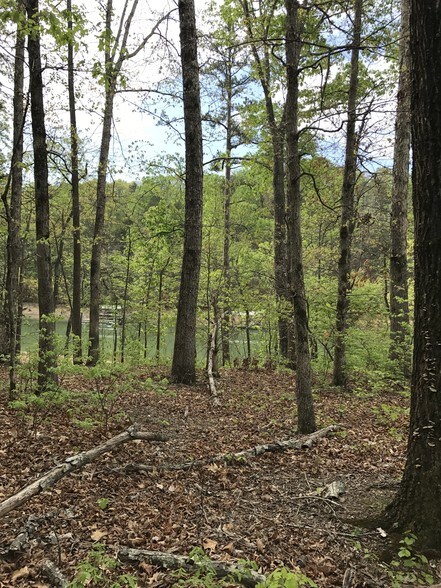 More Photos Of 3350 Duckett Mill Rd, Gainesville Land For Sale