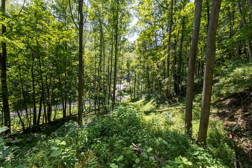 More Photos Of 24272 CONRAD Rd, Laurelville Land For Sale