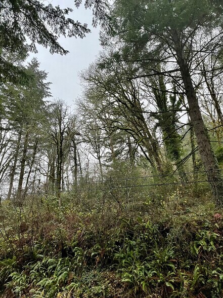 More Photos Of 4665 S Croisan Creek Rd, Salem Land For Sale
