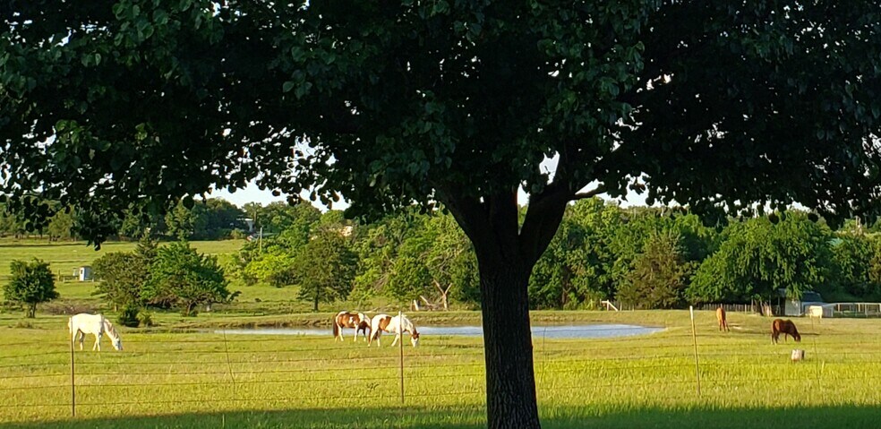 More Photos Of 572 County Road 3799, Paradise Land For Sale