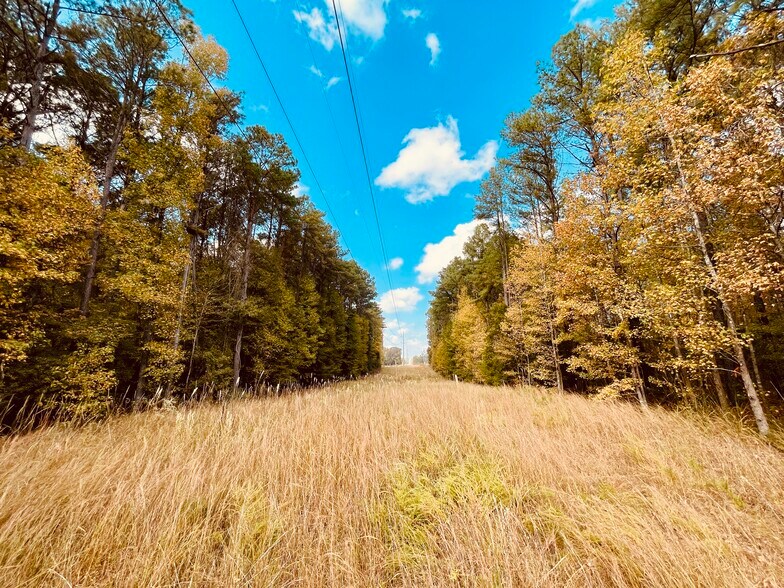 More Photos Of MS Highway 12, Durant Land For Sale